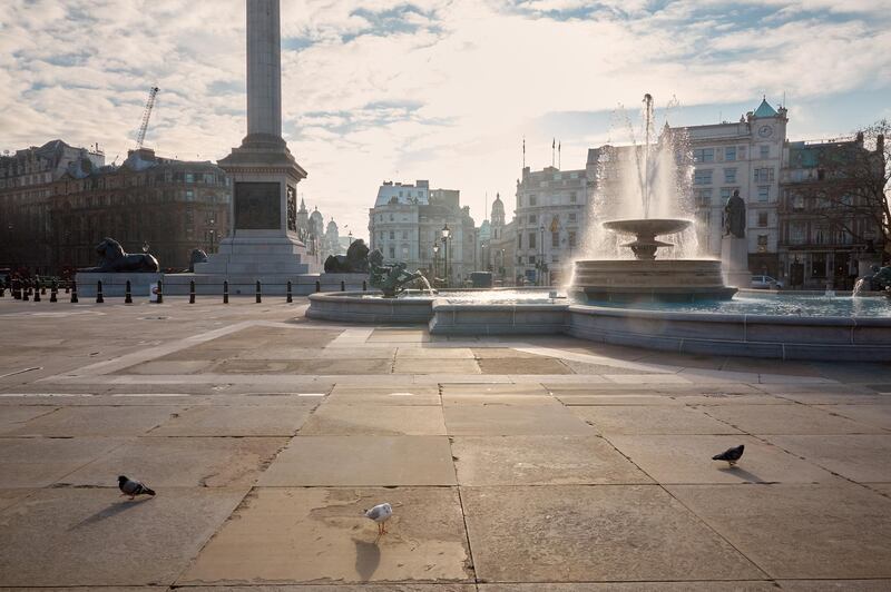 Pigeons are left to roam in a deserted Trafalgar Square. Getty Images