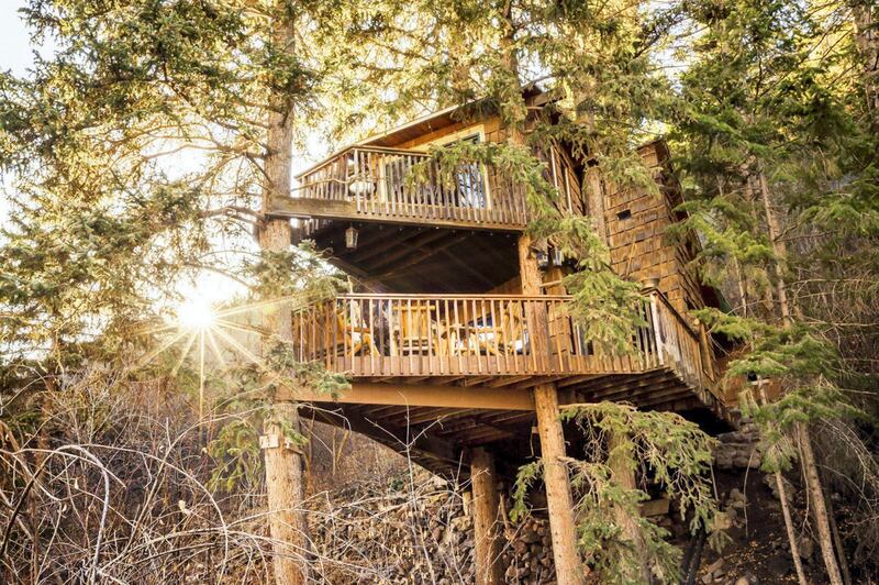 Colorado: Rocky mountain treehouse