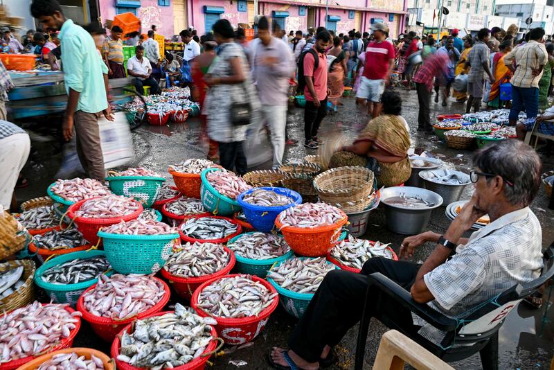 Kasimedu harbour in Chennai, after fishermen returned with their catch at the end of a 61-day fishing ban on India's eastern coast to protect stocks during the breeding season.  AFP