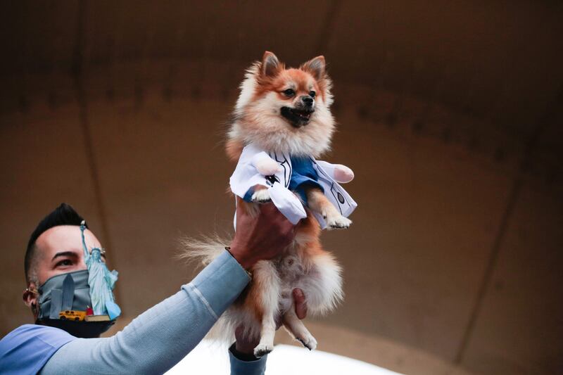The winner of the New York first responders dog costume contest holds his dog in a medical coat. AFP