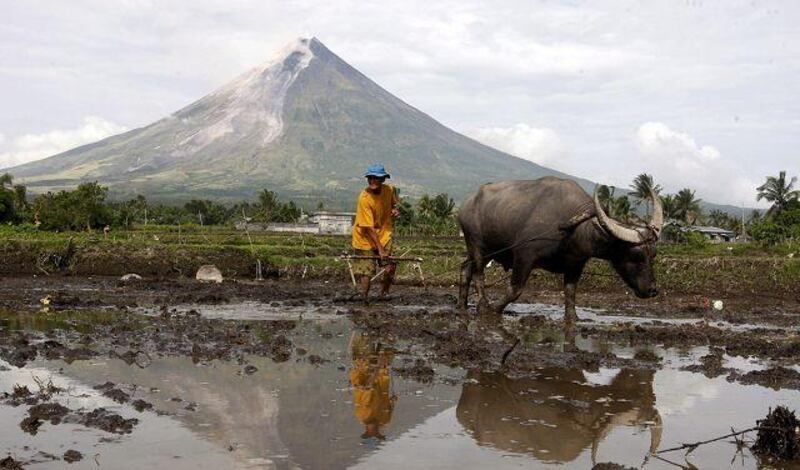 A Filipino farmer ploughs his land as lava cascades down the slopes of Mayon volcano in the eastern Philippines. Frightened residents fled their homes as the ashes reached as high as 500 metres and molten lava rolled down continuously from Mayon's crater.