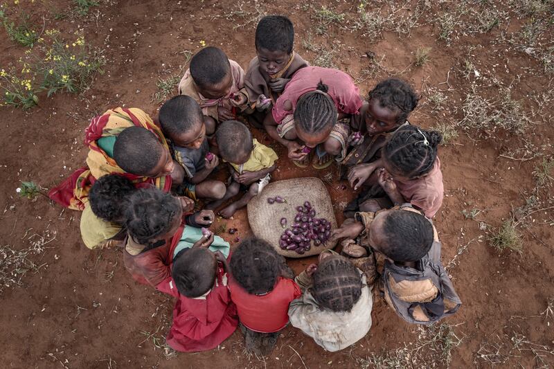 Southern Madagascar food insecurity. Photo: United Nations University/Unicef