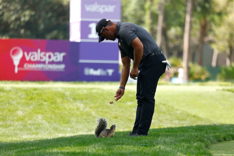 Puerto Rican golfer Rafael Campos feeds a squirrel during the Valspar Championship in Palm Harbour, Florida. AFP
