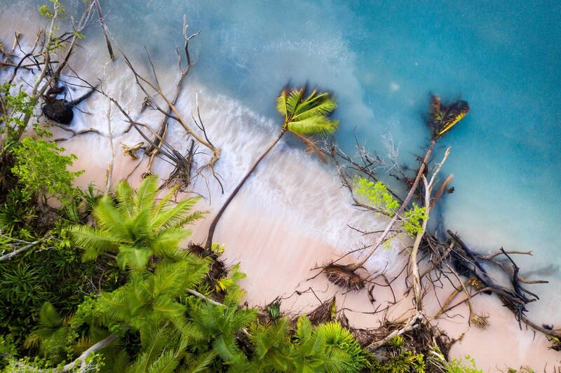 Fallen trees in the shallows of Funafuti atoll, Tuvalu. Erosion of land is an inevitable consequence of life in a coral atoll nation. As sea levels rise and increased threats from storm surges and extreme weather events occur, the land of Tuvalu will increasingly become fragile and prone to erosion. March, 2019.
