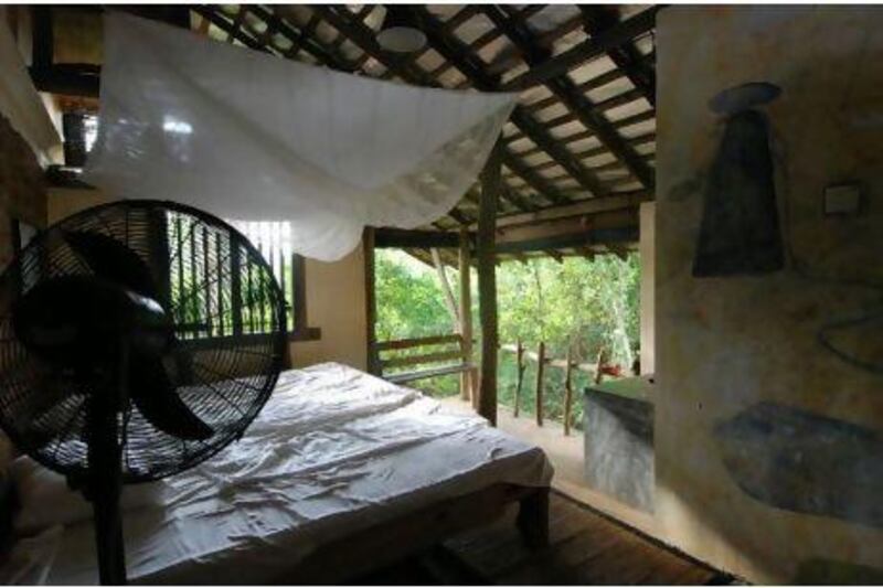 Galkadawala Forest Lodge offers guests the chance to observe in comfort a jungle teeming with monkeys.