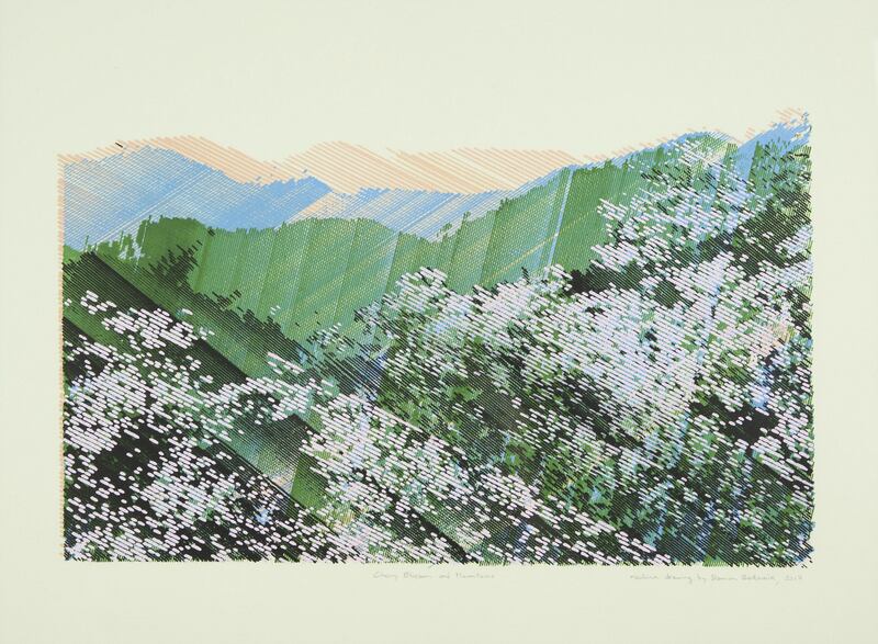 Cherry Blossom and Mountains by Damien Borowik. Lumen Prize Shortlisted for the Still Image Award 2017. This drawing is the latest artwork the artist has created using one of his handcrafted machines.It uses acrylic ink markers with nibs of various widths, and consists of five layers. The whole drawing took approximately 20 hours to make.