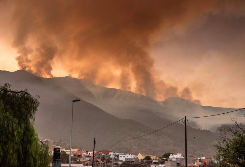 Columns of smoke rise from a wildfire in a forested area of the Guimar valley, on the Canary island of Tenerife. AFP