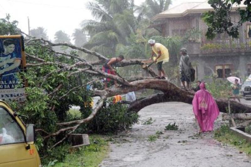 Workers clear a road with a fallen tree after Typhoon Bophal hit the city of Tagum, Davao del Norter province, on the southern island of Mindanao on December 4, 2012. Typhoon Bopha smashed into the southern Philippines early December 4, as more than 40,000 people crammed into shelters to escape the onslaught of the strongest cyclone to hit the country this year.  AFP PHOTO
 *** Local Caption ***  028297-01-08.jpg