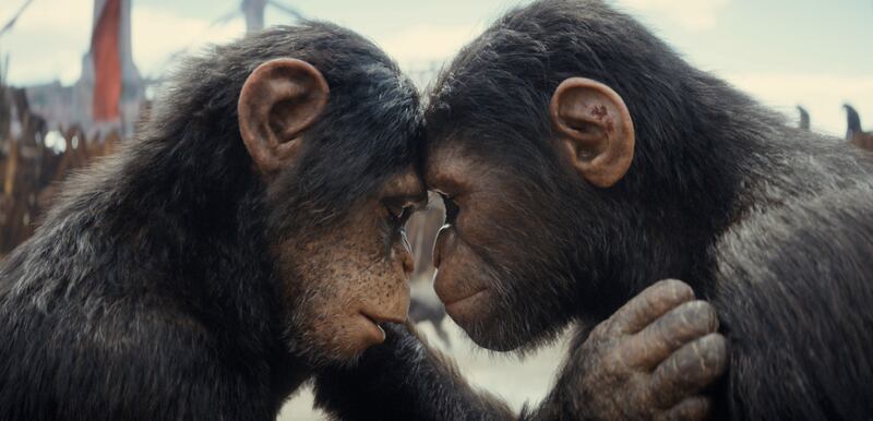 Owen Teague stars as Noa, right, in Kingdom of the Planet of the Apes. Photo: 20th Century Studios