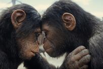 Kingdom of the Planet of the Apes review: A worthy addition to the long-running series