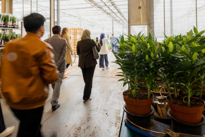 The UAE delegation visits horticulture companies in the Netherlands as part of efforts to improve agritech and educational co-operation. Photo: Rolf van Koppen