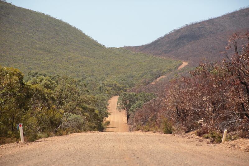 The aftermath of the 2019-2020 bushfires in the Stirling Ranges National Park, Western Australia. Louise Burke/The National