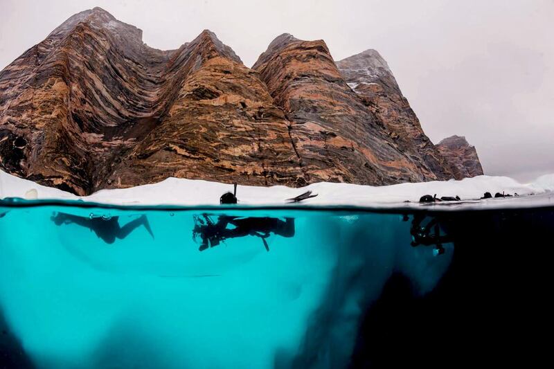 A group of divers snorkelling in the Arctic. Mick Valos / Wildestanimal