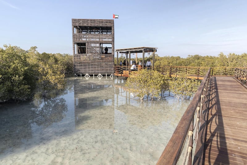 ABU DHABI, UNITED ARAB EMIRATES. 30 JANUARY 2020. The newly launched Mangrove Walk at Al Jubail Islandi. A specially build viewing platform.(Photo: Antonie Robertson/The National) Journalist: Janice Rodrigues. Section: National.

