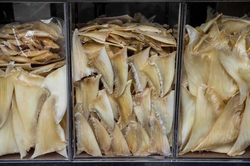 Shark fins are displayed for sale at a market in Hong Kong. AFP