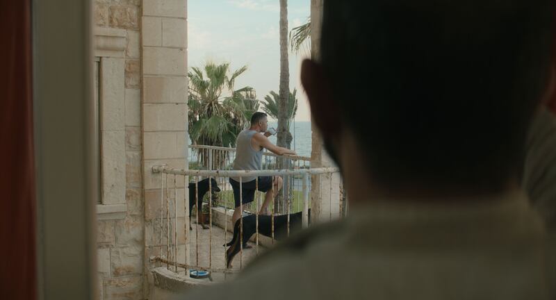 Mediterranean Fever by Maha Haj was Palestine’s official submission to the Academy Awards for Best International Feature Film