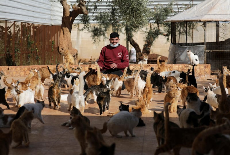 Ernesto's Sanctuary in Syria cares for more than 1,000 cats. Reuters