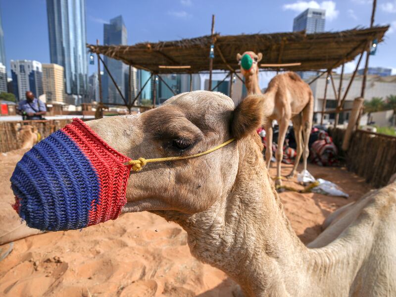 Emirati arts and culture are at the heart of the festival