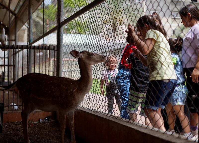 Palestinian children look at a deer at NAMA Zoo in Gaza June 1, 2023.  REUTERS / Mohammed Salem