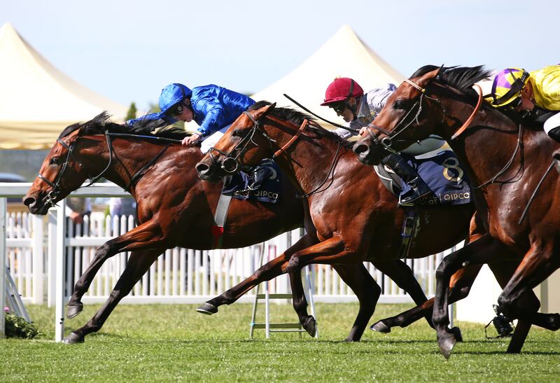 Coroebus, ridden by William Buick, wins The St James's Palace Stakes at Royal Ascot for trainer Charlie Appleby and Godolphin on June 14, 2022. Getty 