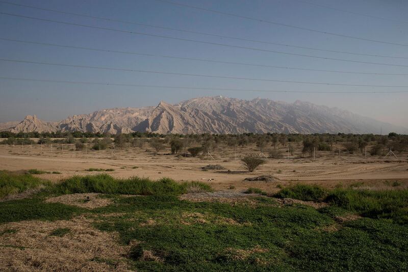 AL Hayer, UNITED ARAB EMIRATES, Dec. 29, 2014:  
A view of the Jebel Hafeet (1,249 m) (4,098 ft) mountain on the outskirts of Al Ain at the UAE-Oman border. Jebel Hafeet is one of the UAE's tallest mountains and a very popular attraction for tourists and locals alike. (Silvia Razgova / The National)  /  Usage:  undated  /  Section: AL   /  Reporter:  standalone *** Local Caption ***  SR-141229-jebelhafeet02.jpg