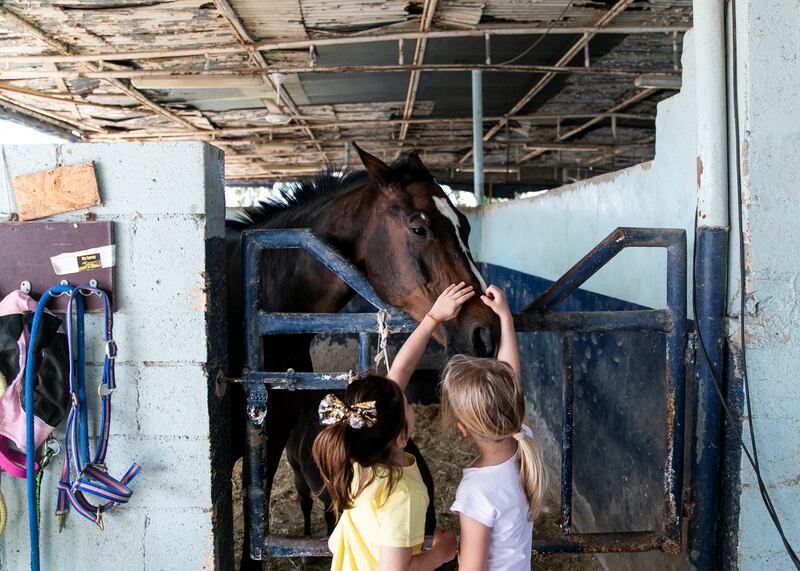 ABU DHABI, UNITED ARAB EMIRATES. 18 MARCH 2020.
Children petting Salambo who was rescued by Ride to Rescue project.

Yasmin Sayyed runs Ride to Rescue. She has taken in 17 rescued horses who would normally be euthanized, and she tries to offset the cost of their care by offering the public healing sessions where they ride or walk with them. 

Salambo, now 24 years old, was her first rescue. Yasmin says: “Everything started when I met Salambo in 2013. He was a horse I fell in love with immediately. He is a Westfalian horse and belonged to a French family. At that time, I was in that stable mainly for training some other horses. After watching Salambo get sicker and sicker, to the extent that he couldn’t stand and walk anymore, I took action. I had never seen his owners before, and now got in contact with them. They then revealed that he has “Motor Neuron Disease”. He couldn’t breathe due to muscle deterioration and he lost a lot of weight. I wanted to help Salambo.”

(Photo: Reem Mohammed/The National)

Reporter:
Section: