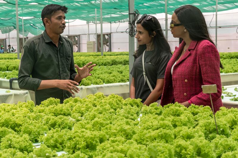  Pratik Ghosalkar, an agronomist at Hygrow, explains the farming techniques to visitors.
