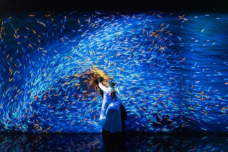 More than 50 digital artworks will feature at Jeddah's new digital art museum, teamLab Borderless, when it opens in 2023. Pictured here, 'The Way of the Sea, Flying Beyond Borders - Colours of Life'. All photos: teamLab