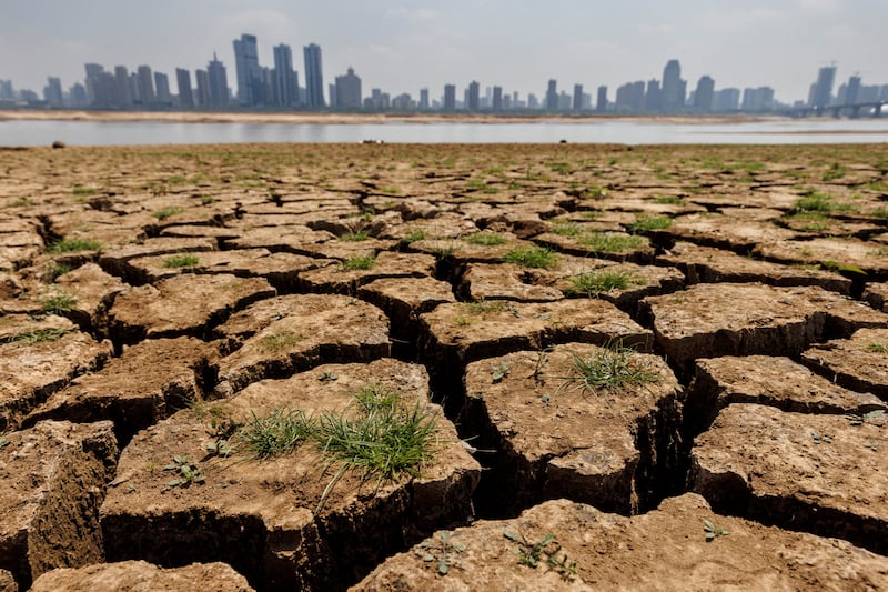 A partially dried-up river bed during a drought in Nanchang, China, last year. Reuters