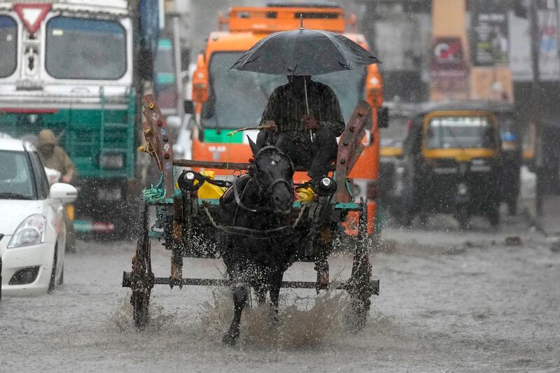 A man rides a horse cart through a waterlogged street during a downpour in Jammu.  AP Photo 