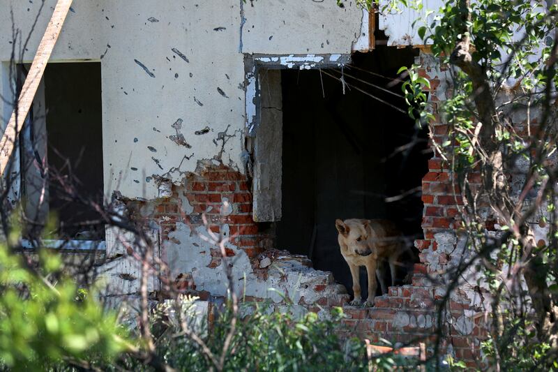 The damaged house of Inna Bobryntseva, a woman who died during Russian shelling, in Kharkiv. Ukrainian officials exhumed her body from her backyard as part of an investigation into war crimes. Reuters