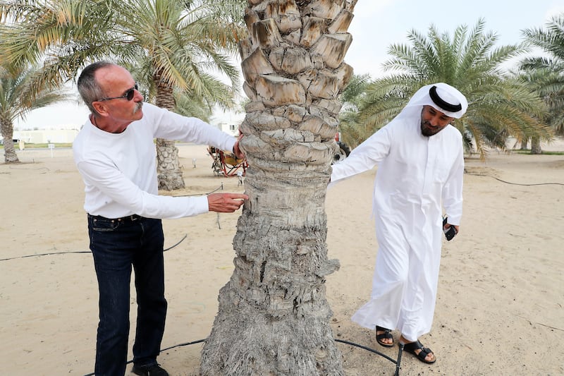 Brent Clothier, left, says that by using sap-flow monitoring, they were able to measure how much water a date palm tree used. Photos by Pawan Singh / The National