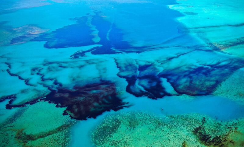 An aerial photograph shows oil drifting ashore over coral reefs from the MV Wakashio.  EPA