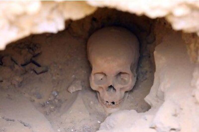A human skull sits at an excavation site in front of the Giza pyramids. Scholars now believe that modern man first settled on the Arabian Peninsula before migrating to the rest of the world.