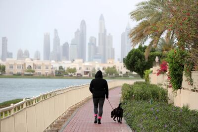 Dubai, United Arab Emirates - March 03, 2019: A woman walks her dog in the Springs as tight rain falls on a grey day in Dubai. Wednesday the 3rd of April 2019. The Springs, Dubai. Chris Whiteoak / The National