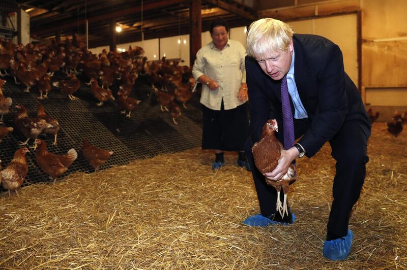 Britain's Prime Minister Boris Johnson, (R), accompanied by local farmer Ingrid Shervington, holds a chicken during his visit to rally support for his farming plans post-Brexit, at Shervington Farm, St Brides Wentlooge near Newport, south Wales on July 30, 2019.  / AFP / POOL / Adrian DENNIS
