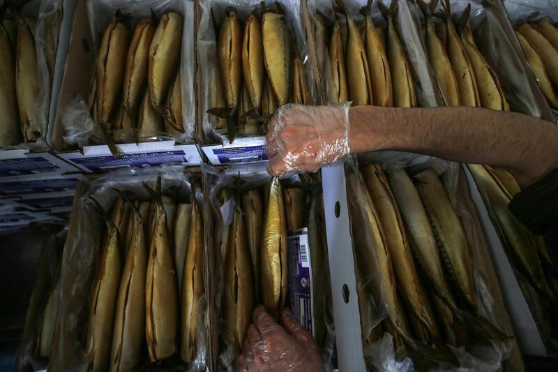 A Palestinian man packs smoked mackerel before selling them in Rafah, Gaza Strip.   AFP