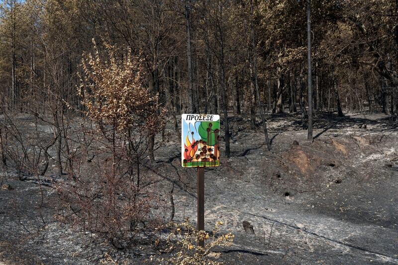A fire hazard warning sign against the backdrop of charred trees

