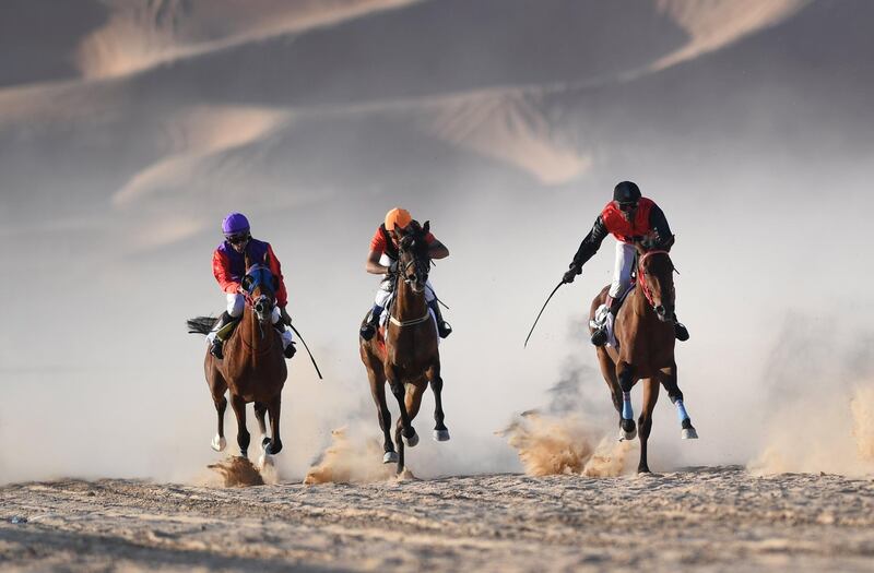 Purebred Arabian horses race  over 1800 meters in the Empty Quarter.  Martin Dokoupil / EPA