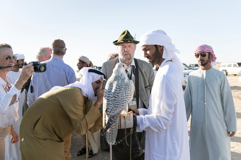 ABU DHABI, UNITED ARAB EMIRATES - DEC 6, 2017Karl Pock from Austria, on a habara hunting trip at the fourth International Festival of Falconry. Karl is one of the original 27 falconers that were in Abu Dhabi in 1976 to receive Sheikh Zayed's invitation to falconers from around the world to convene in the desert of Abu Dhabi and build a strategy for the sport’s development.(Photo by Reem Mohammed/The National)Reporter: Anna ZachariasSection: NA