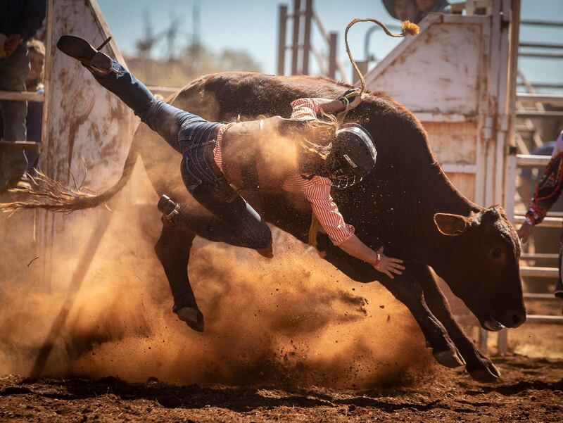 A competitor in the Novice Steer Ride has an involuntary dismount during the Harts Range Races and Rodeo. EPA
