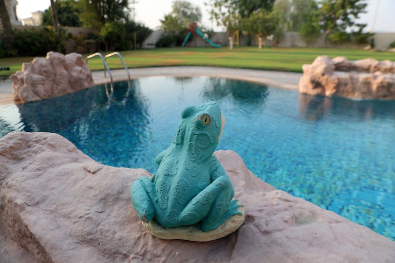 Pooja and Sanjay Asarpota's back garden pool features rock elements, sculptures and even a slide