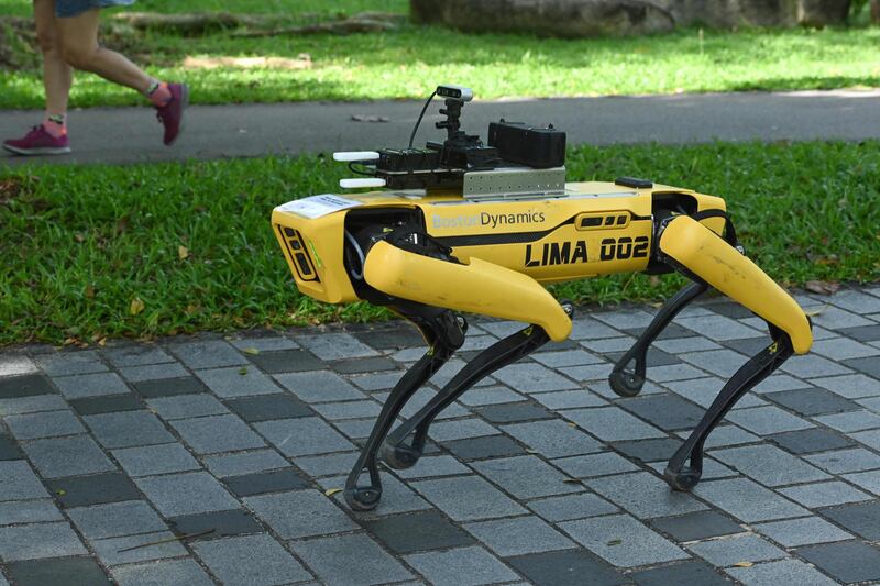 (FILES) In this file photo taken on May 8, 2020, a four-legged robot called Spot, which broadcasts a recorded message reminding people to observe safe distancing as a preventive measure against the spread of the COVID-19 coronavirus, is seen during its two-week trial at the Bishan-Ang Moh Kio Park in Singapore. A yellow robot dog called Spot which found fame online for dancing to hit song "Uptown Funk" has been deployed to patrol a Singapore park and ensure people observe social distancing. / AFP / Roslan RAHMAN
