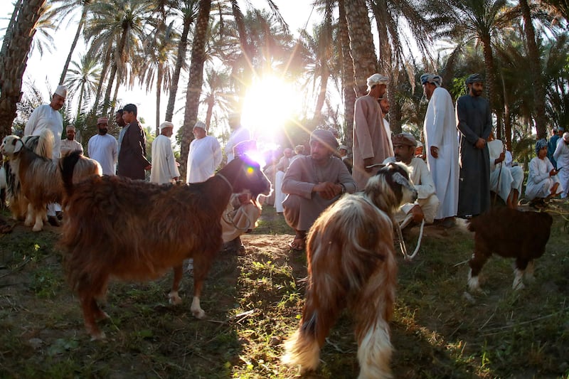 Omani livestock merchants wait for customers at a traditional pre-Eid market in the Sarur area of Al Dakhiliyah Region. AFP