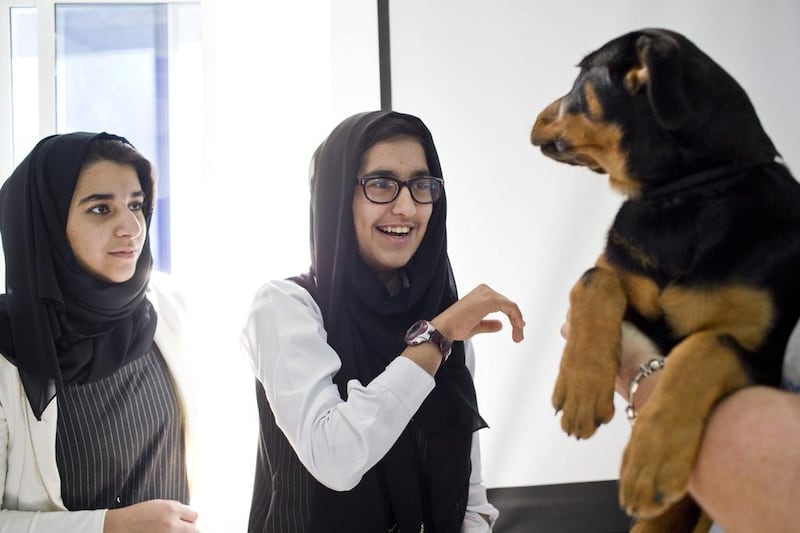 Aisha Mohammad, 15, pets a Rottweiler puppy. “A lot of Emiratis don’t accept the idea of having pets, mainly dogs, because in Islam we believe that dogs are not clean,” said Mahra Al Shamsi, 27, the teacher.