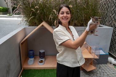 Faida Sabouneh holds up a kitten at one of Expo City Dubai's feeding stations. Antonie Robertson / The National