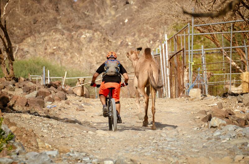 Mountain biking in the UAE is just one of the activities that Gulf for Good organises throughout the year to help support children across the world. Photo: Gulf for Good