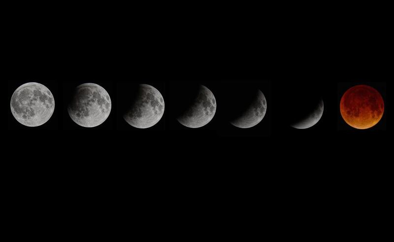 A composite picture shows the blood moon total lunar eclipse in seven stages as seen from Miami, Florida, USA. Rhona Wise / EPA April 15