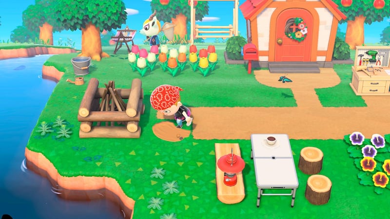 'Animal Crossing: New Horizons' is available on the Nintendo Switch