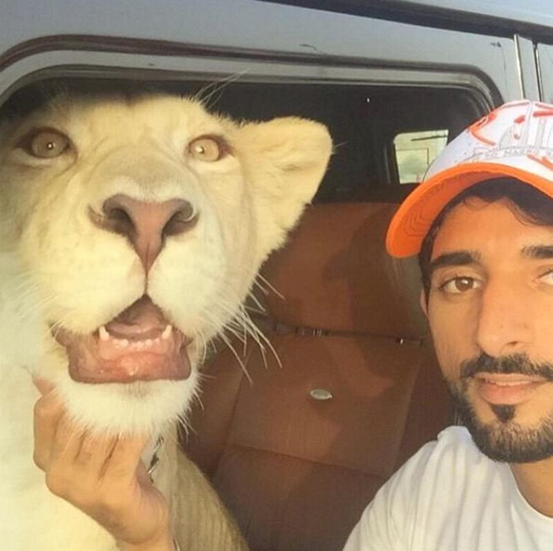 He owns a pet lion, named Moochi. Instagram / Faz3